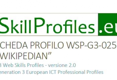 Wikipedian, nuovo profilo di competenze per il Web
