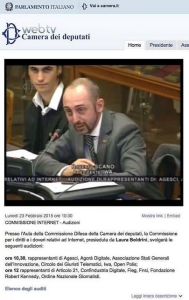 Commissione per i diritti e i doveri relativi ad Internet